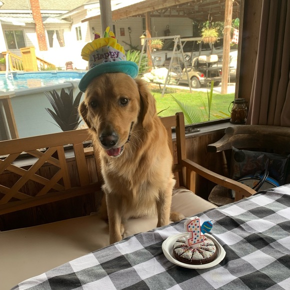 Meet your Posher, Tracey - Picture 2 of 3